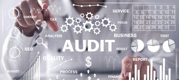Who Should Claim This Digital Audit?